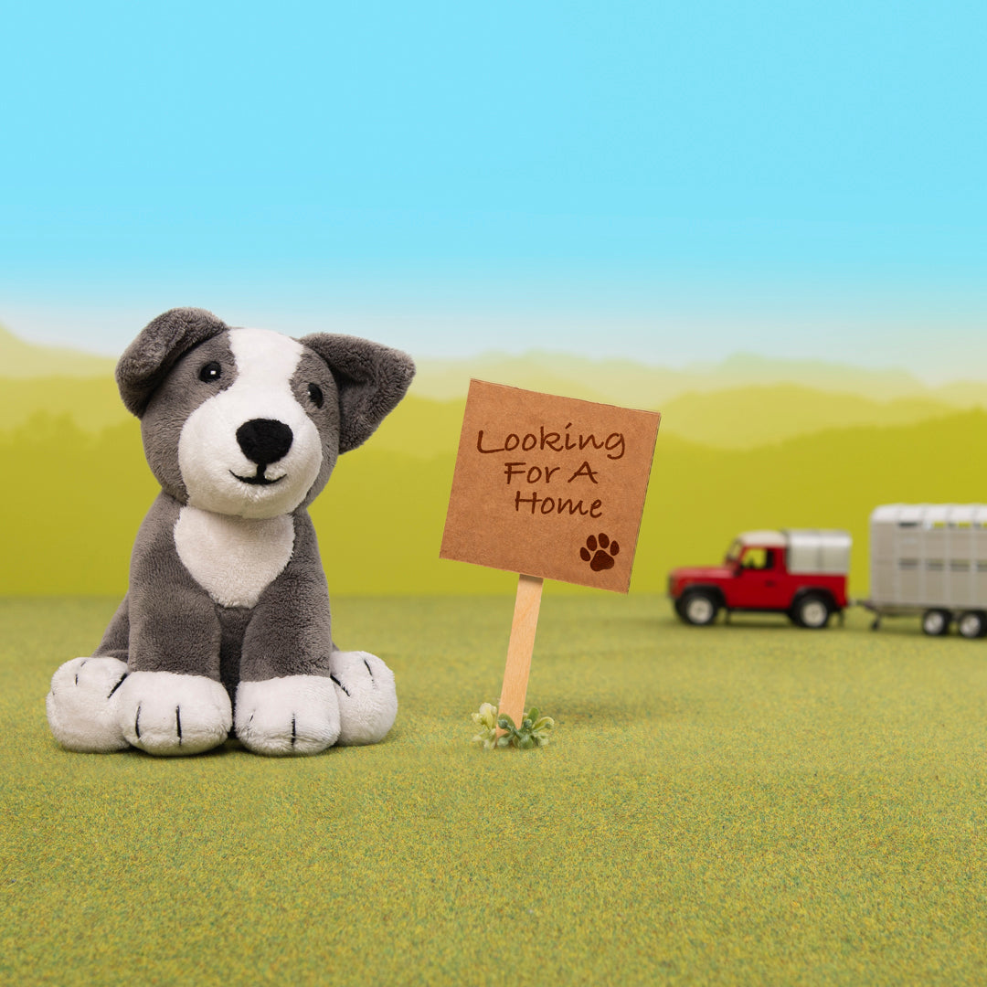 Sheppy soft toy sat in a field looking for a home
