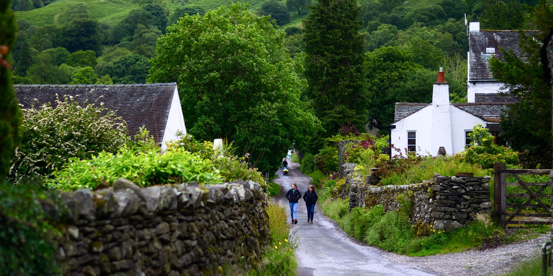 The Borrowdale Institute Needs Your Help