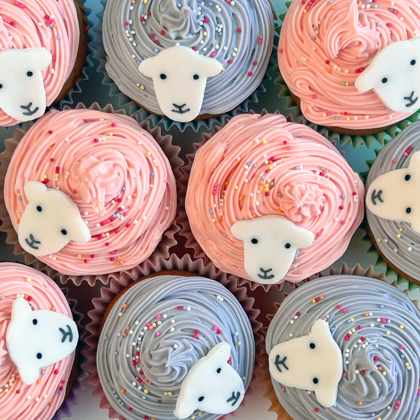 Herdy Chocolate Chip Cupcakes with Blue and Pink frosting and Herdy faces