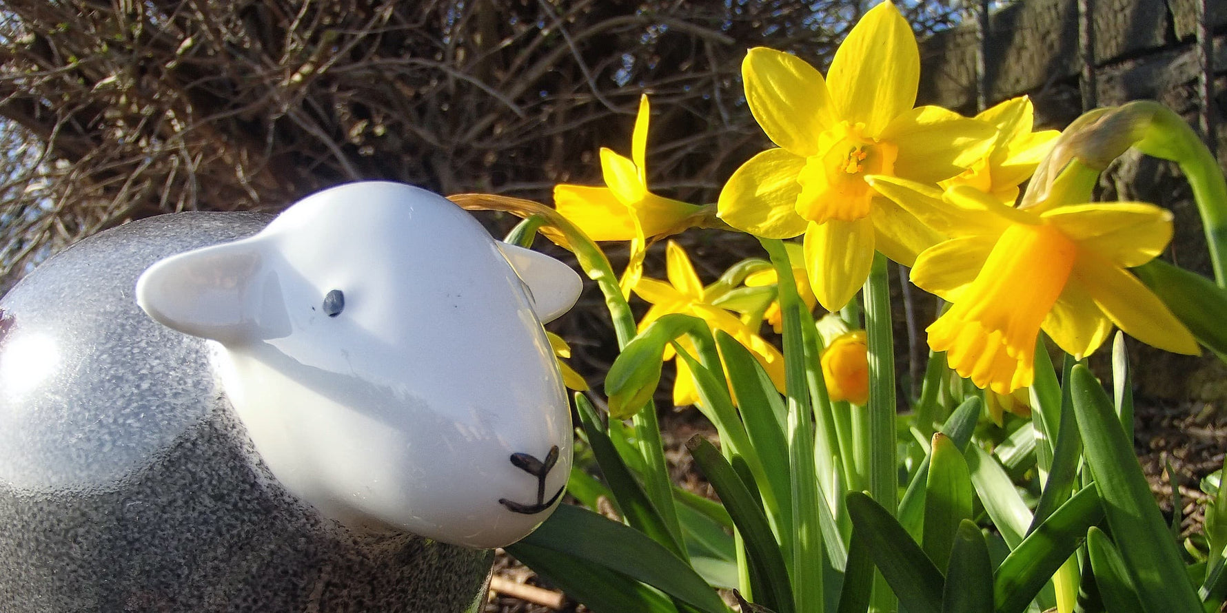 Daffodil walks: our top 3 in the Lake District