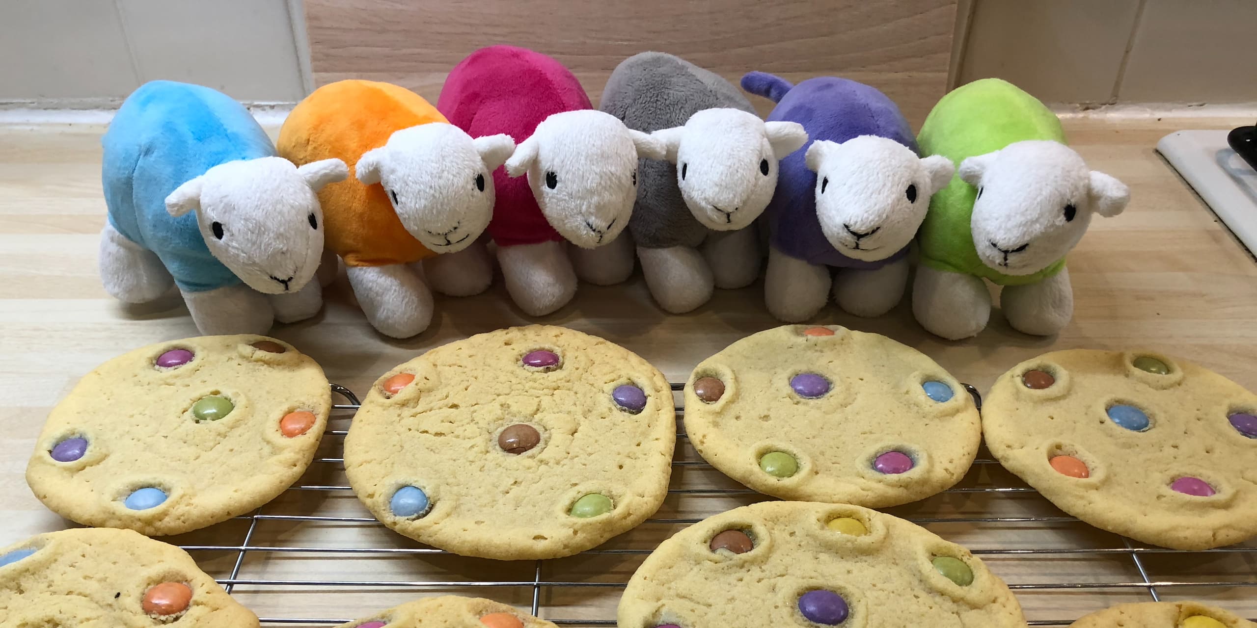 How To Make Smarties Biscuits For Dad