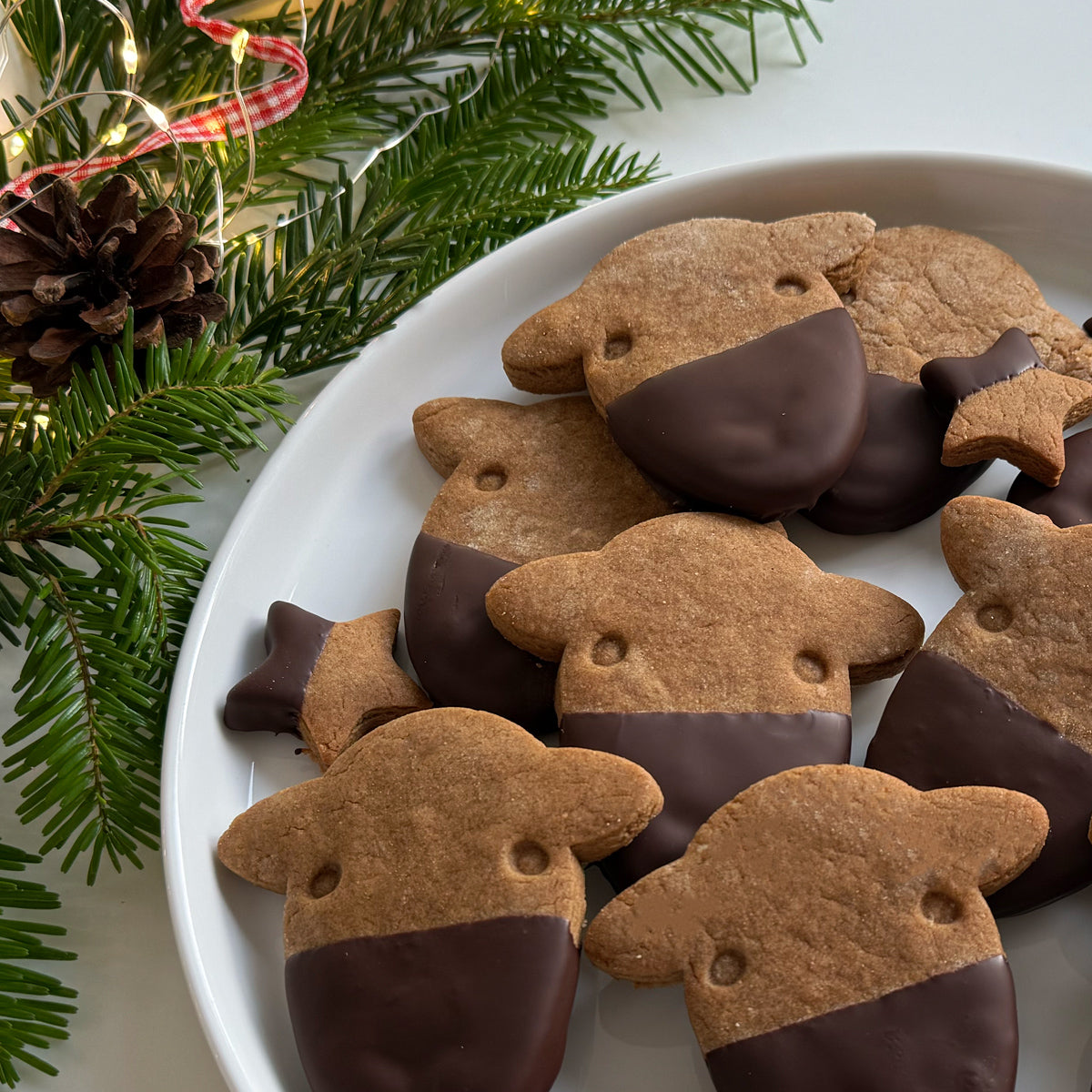 Herdy 'Peep' Ginger and dark chocolate cookies