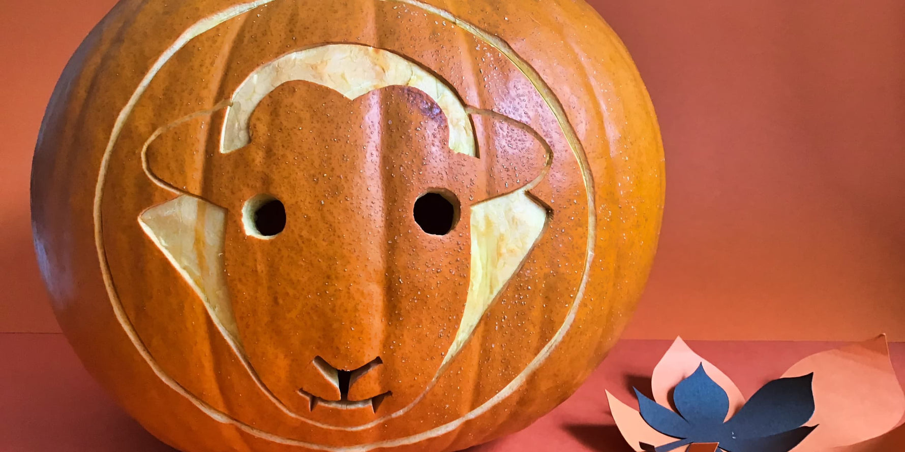 How to make a Herdy Halloween pumpkin