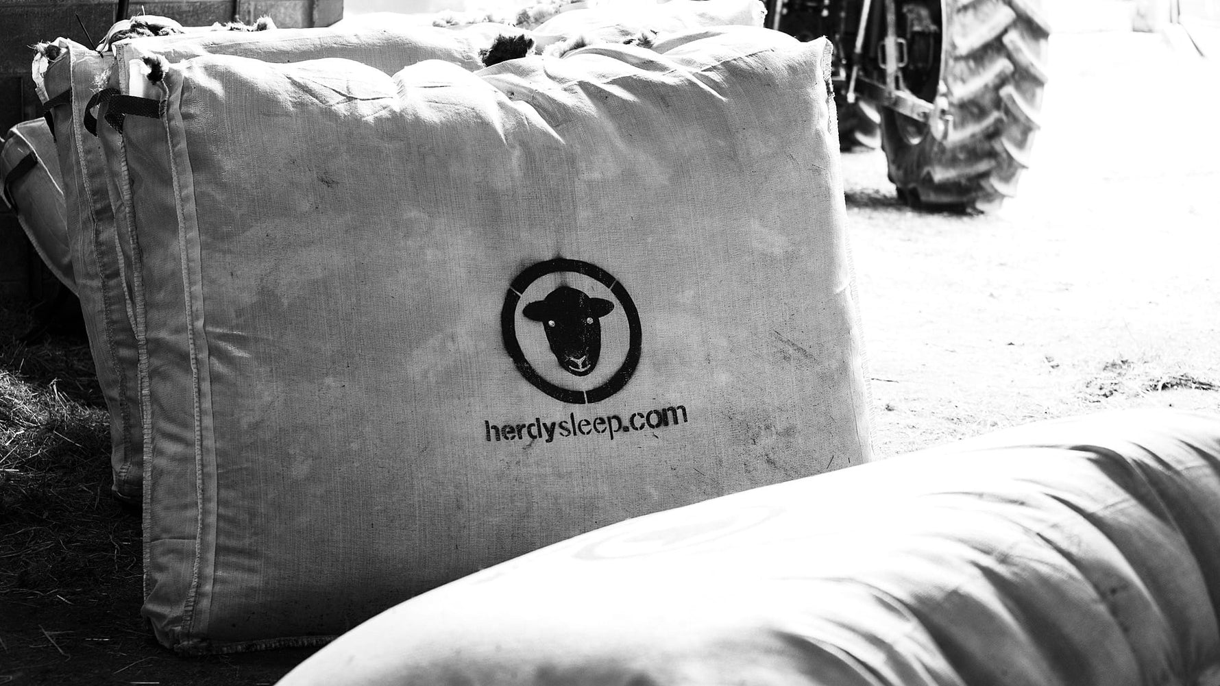 Using Herdwick Wool: Helping the Herdwick