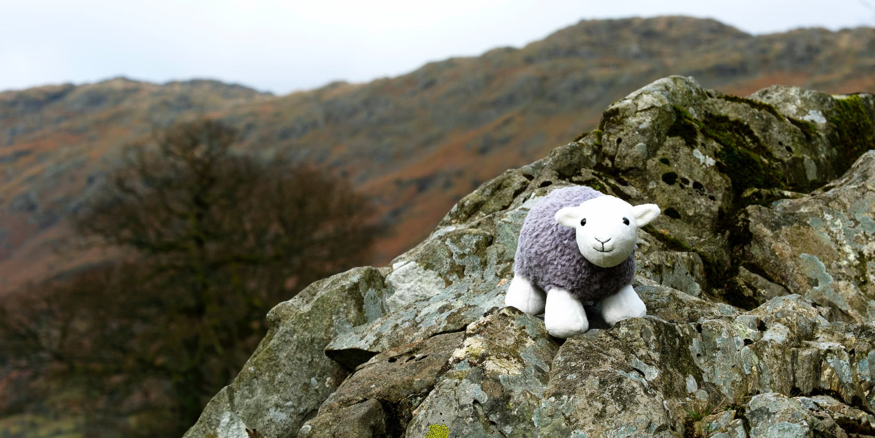 Herdy Sponsors International U18 Mountain Running Cup