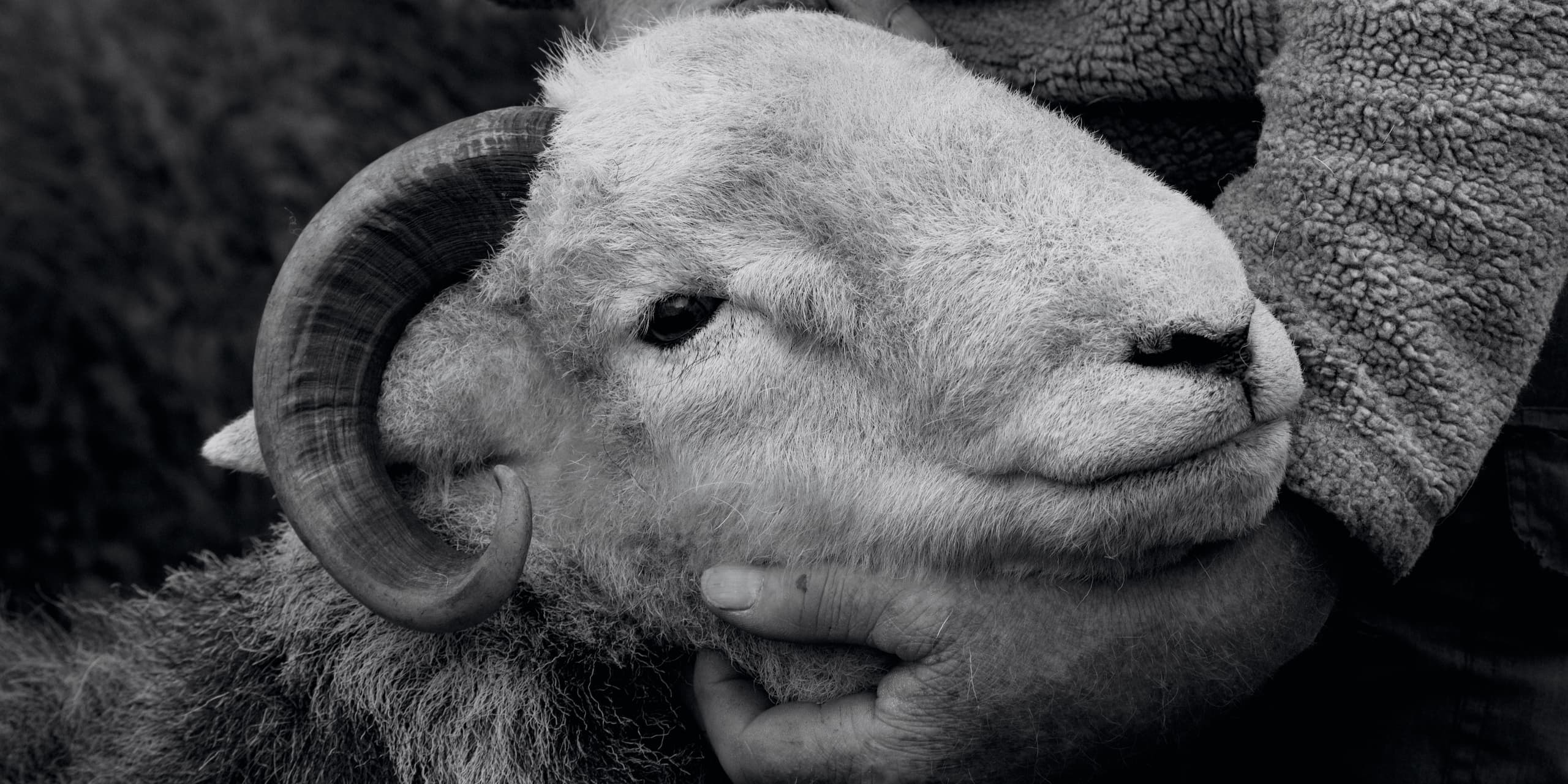 The Herdyfund Charity