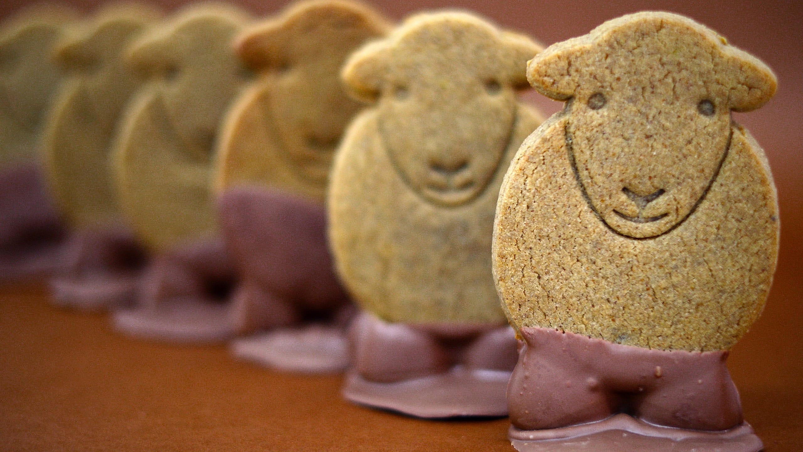 Muddy Boots Gingerbread Herdy