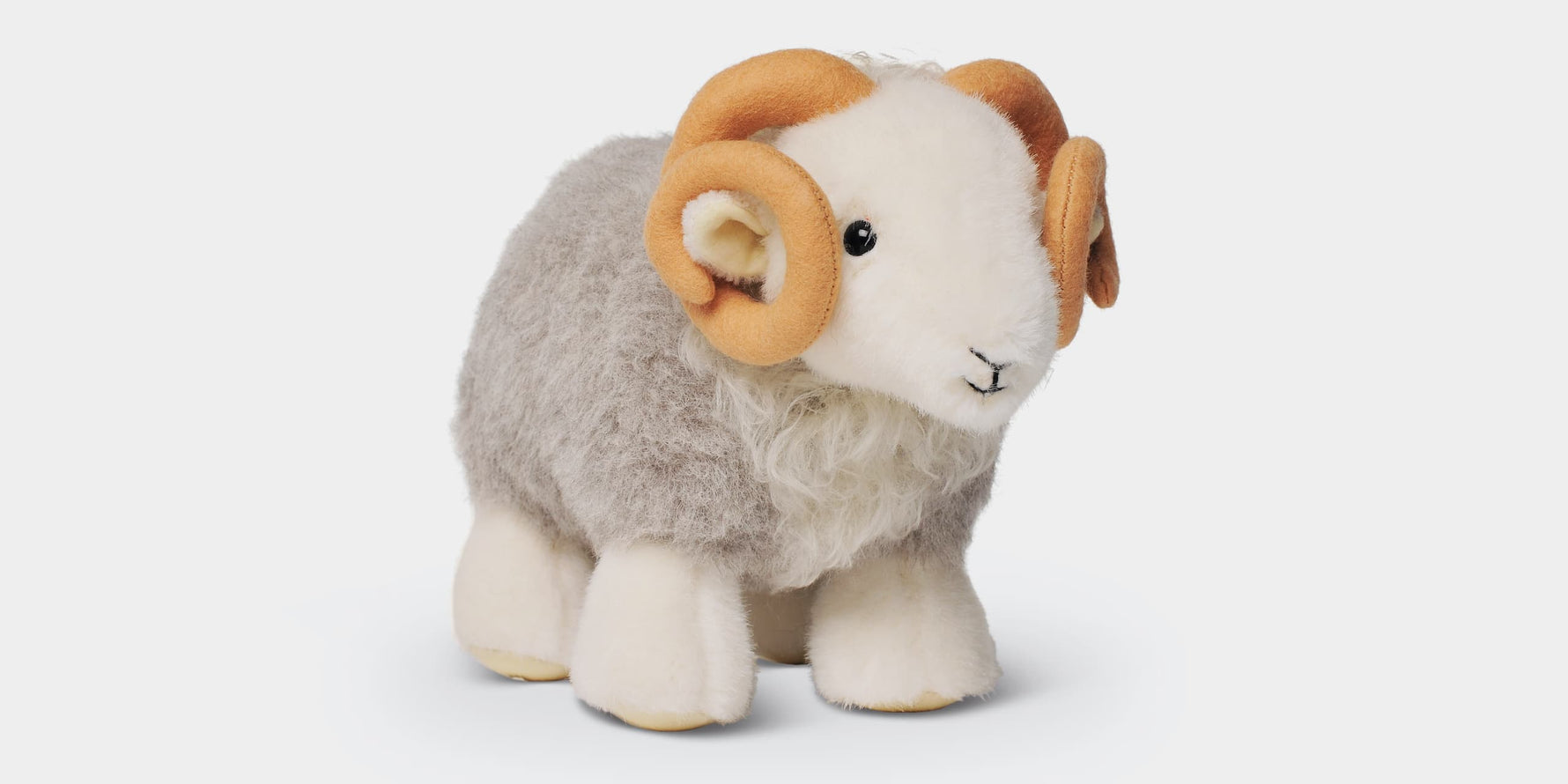 Introducing My Herdy Tup