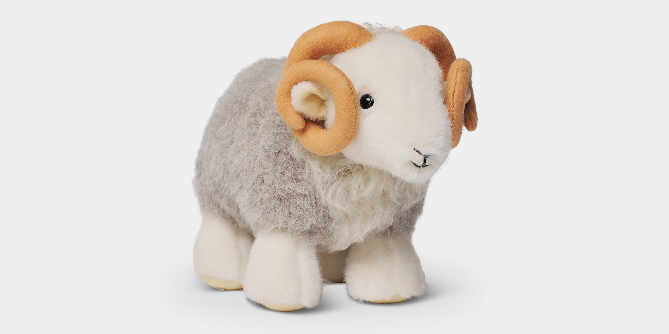 Introducing My Herdy Tup
