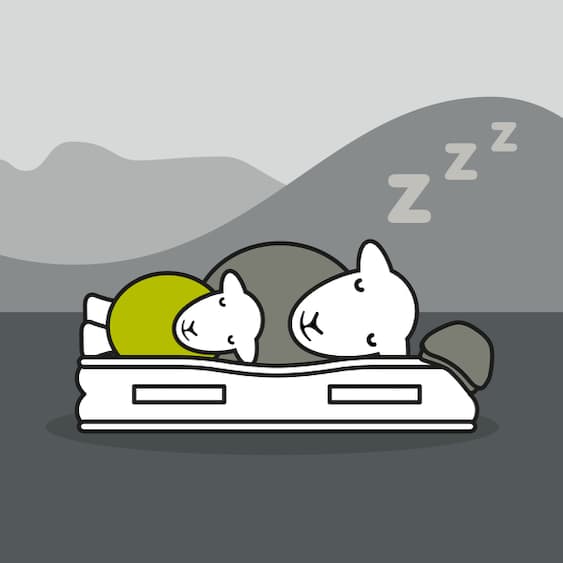 How a wool mattress can help ewe sleep better