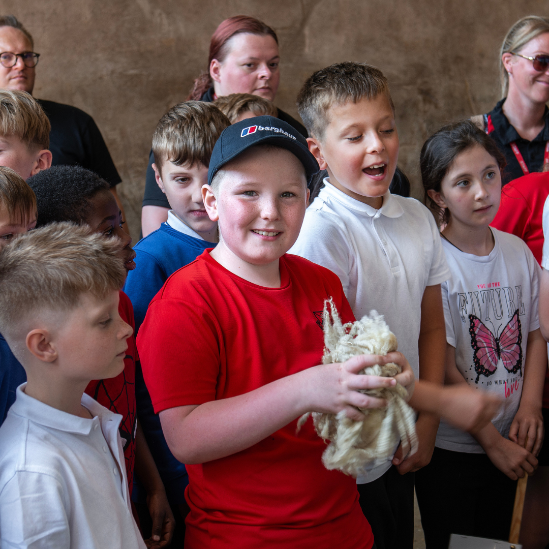 Young boy holding some fleece from a sheep