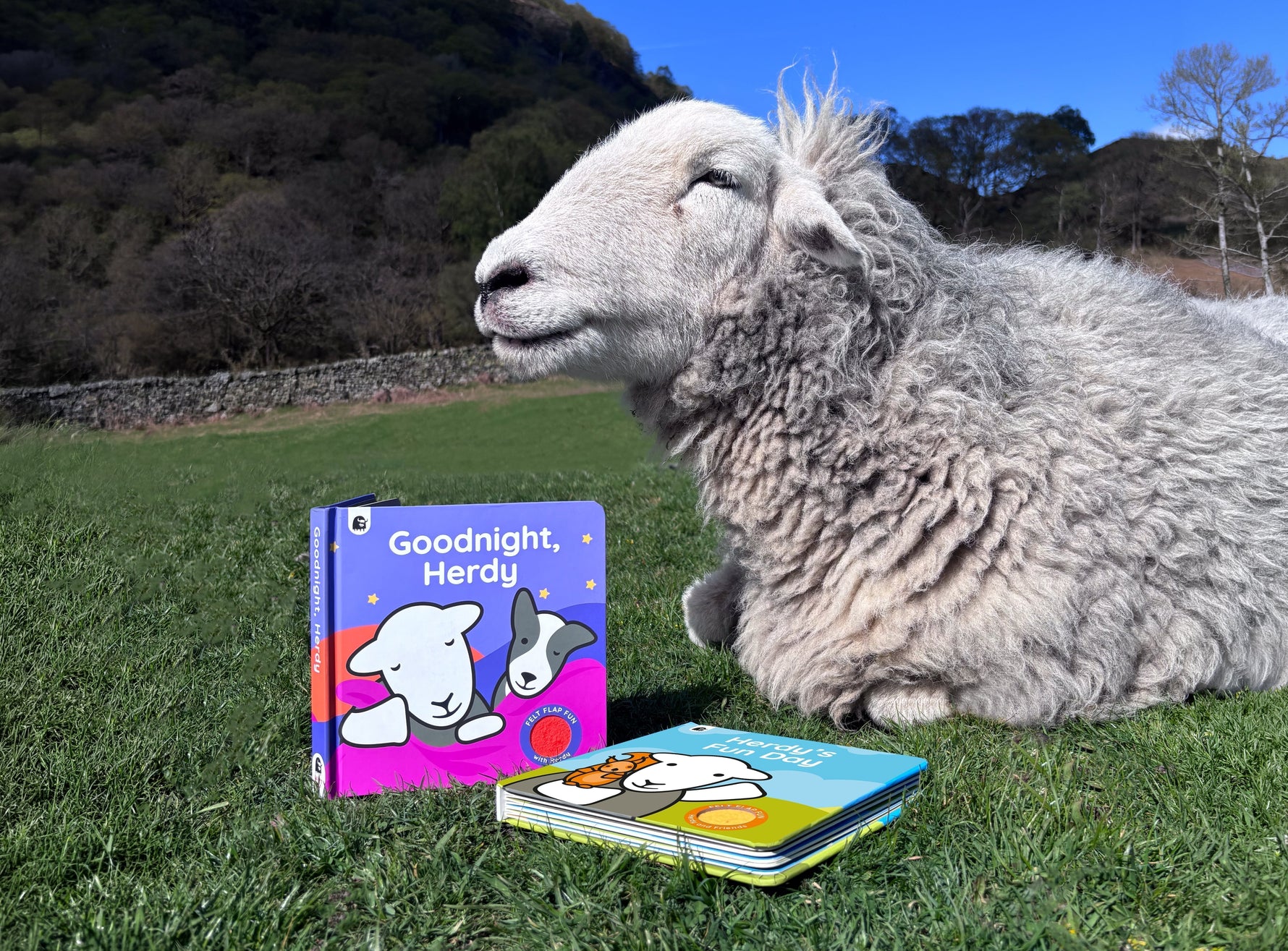 Herdy’s First-Ever Children’s Books Are Arriving This September!