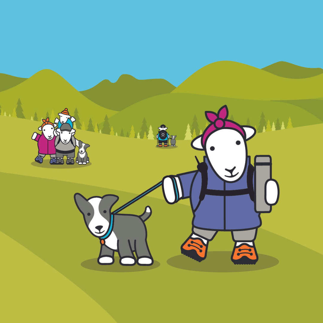 Herdy and Sheppy graphic showing Sheppy sheepdog on a lead
