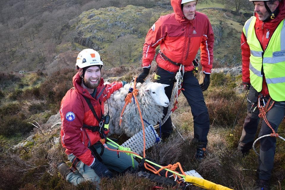 Get To Know The Herdy Heroes Charities