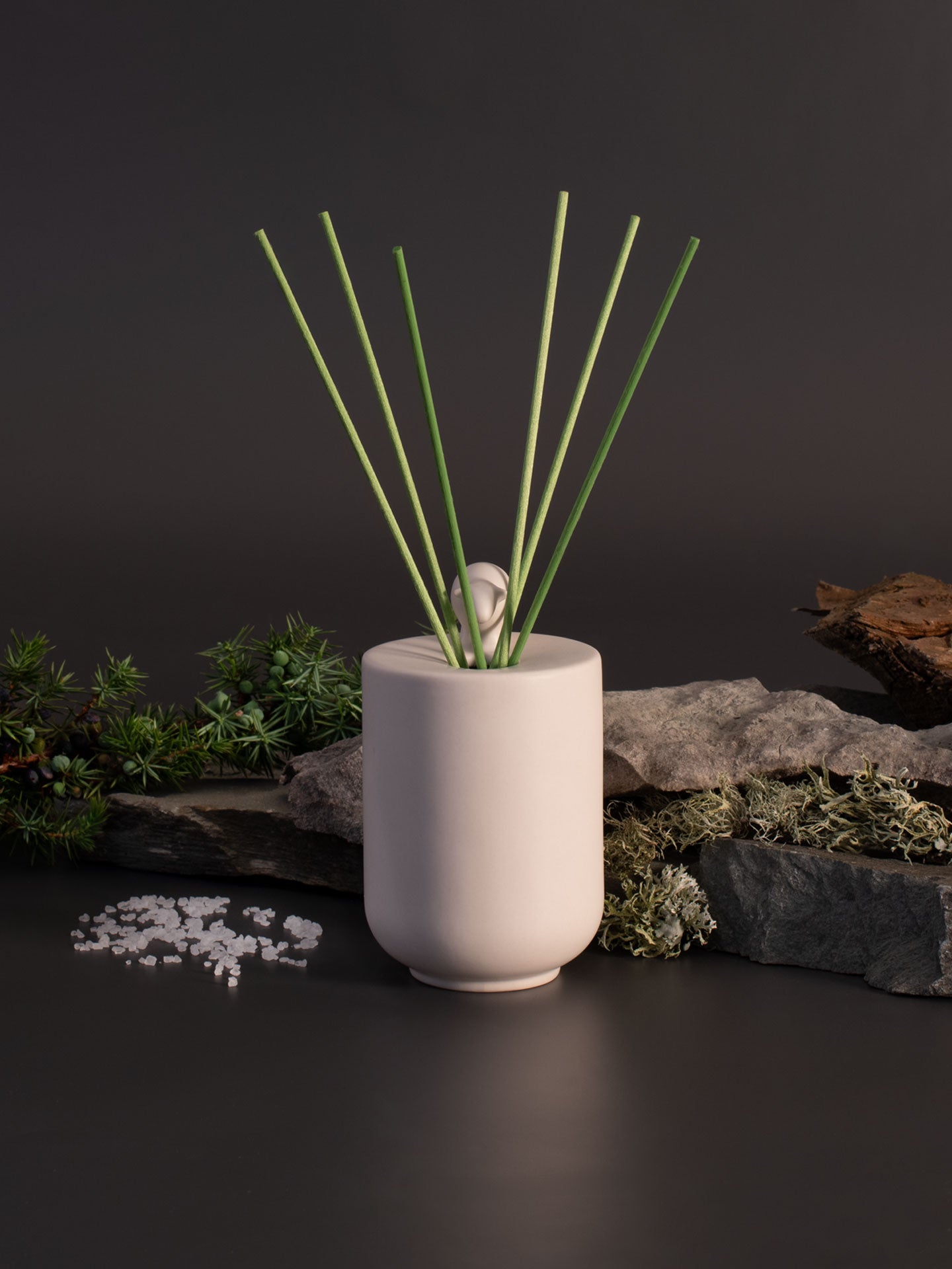 Reed Diffuser with Fragrance & Reeds