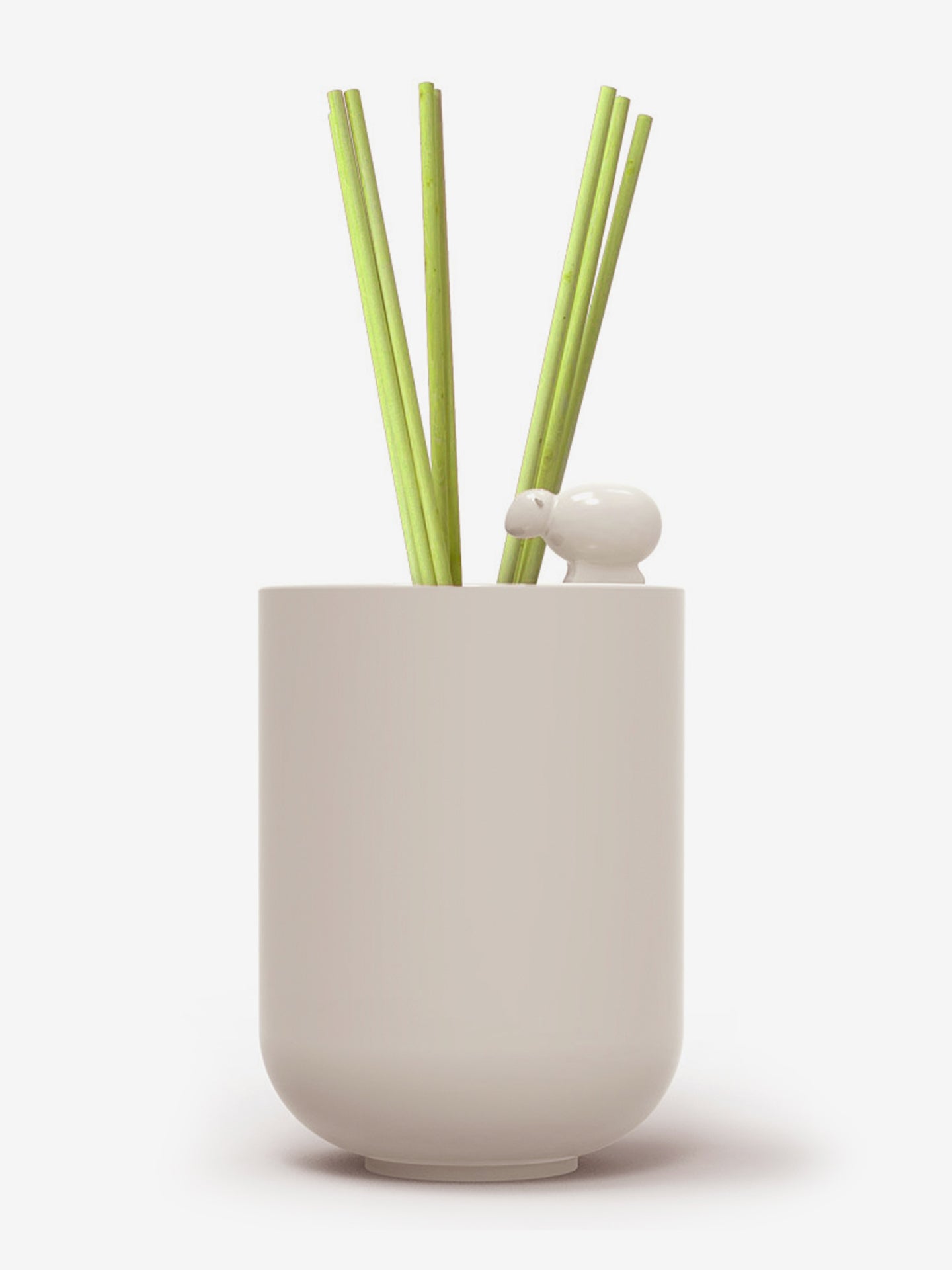 Reed Diffuser with Fragrance & Reeds