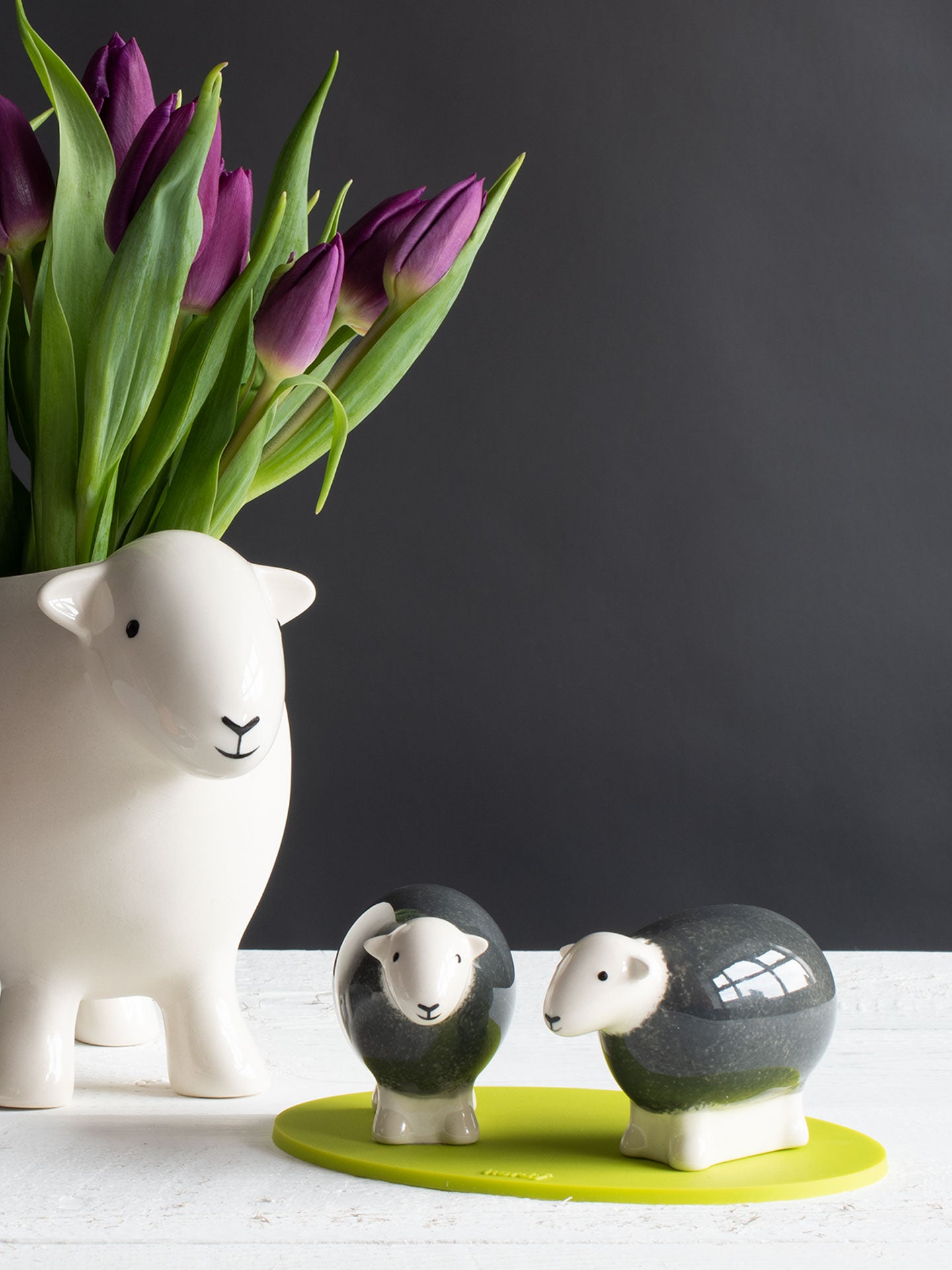 Salt And Pepper Shakers